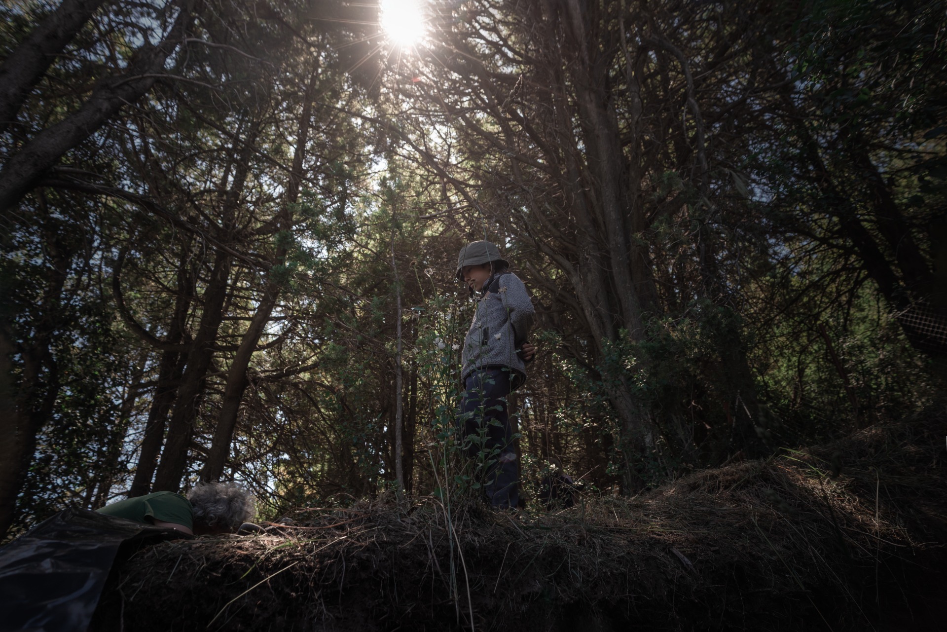 TALLER DE SIEMBRA Y COSECHA DE AGUA